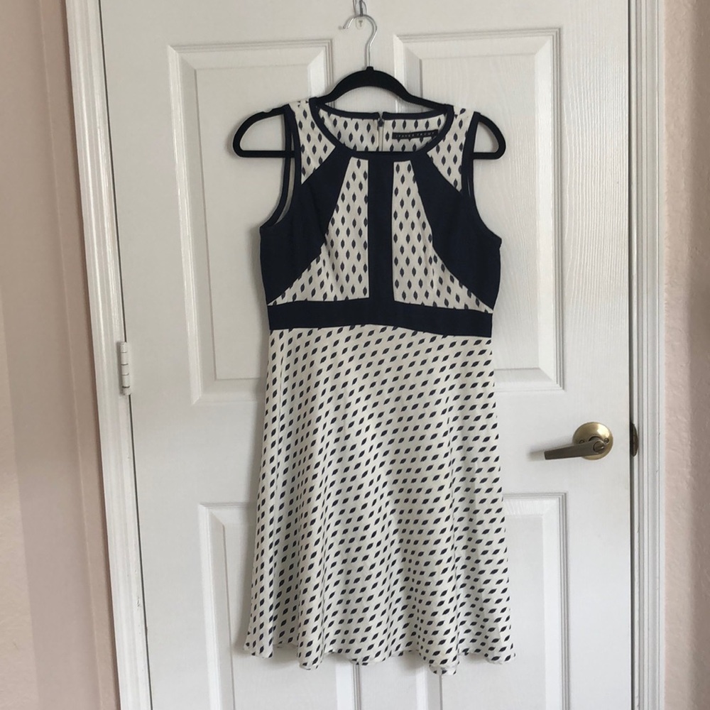 Blue and White Fitted A line Dress